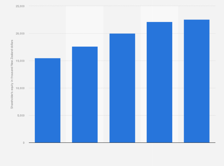 Statistic: Total shareholder's equity in Delta Utility Services Limited in New Zealand from financial years 2015 to 2019 (in 1,000 New Zealand dollars)