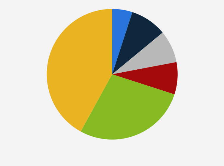 Statistic: Market share of business aviation in China as of June 2021, by size category