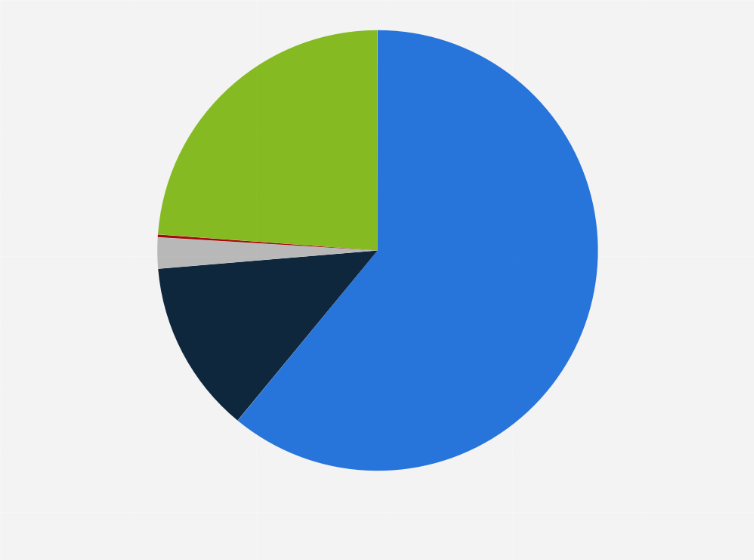 Statistic: Distribution of primary languages spoken at home in Tanzania as of 2021