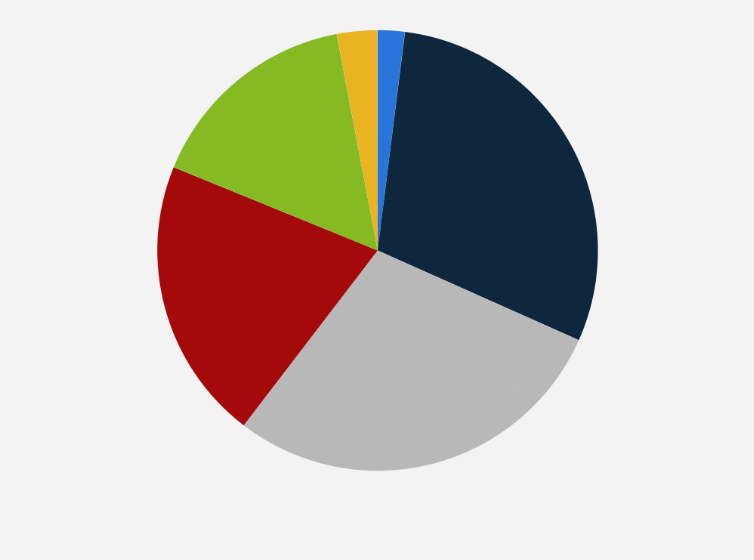 Statistic: Share of car-sharing users in Italy in 2023, by age