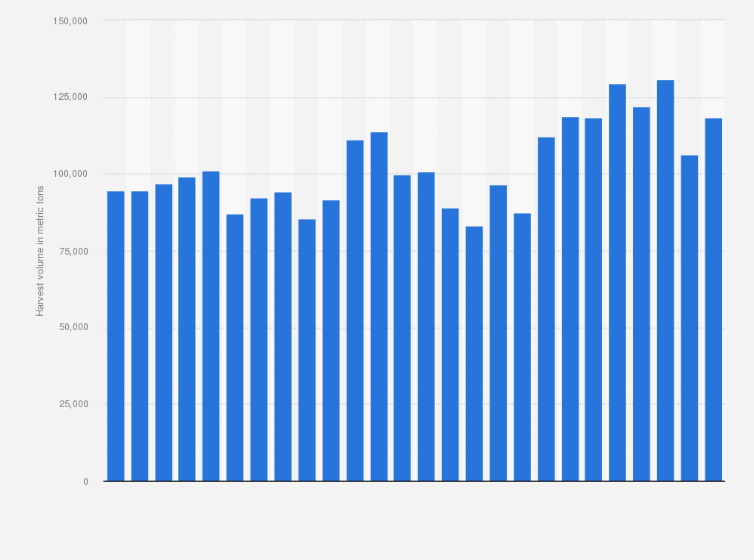 Statistic: Trend in the harvest volume of hops worldwide from 1998 to 2023 (in metric tons)