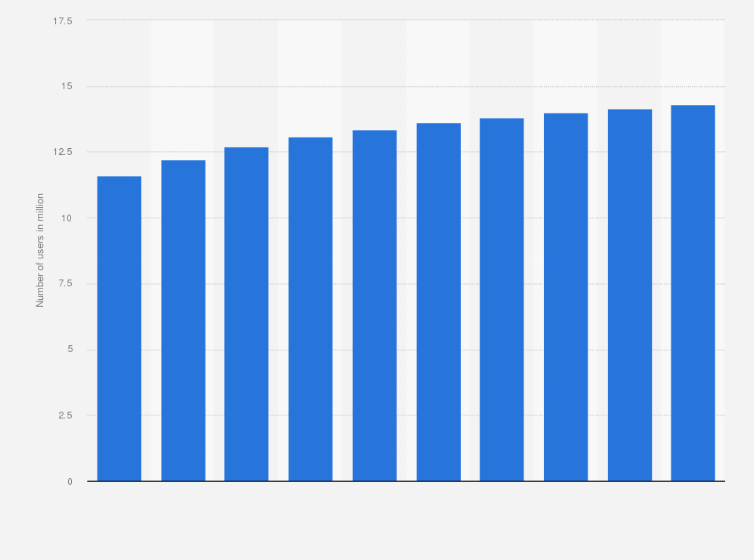 Statistic: Number of social media users in the Netherlands from 2020 to 2029 (in millions)