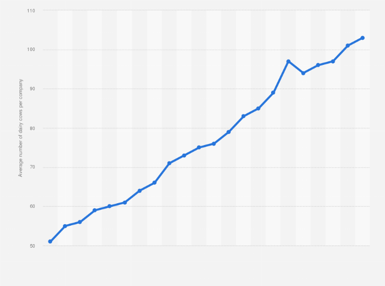 Statistic: Average number of dairy cows per company in the dairy cattle industry in the Netherlands from 2000 to 2021