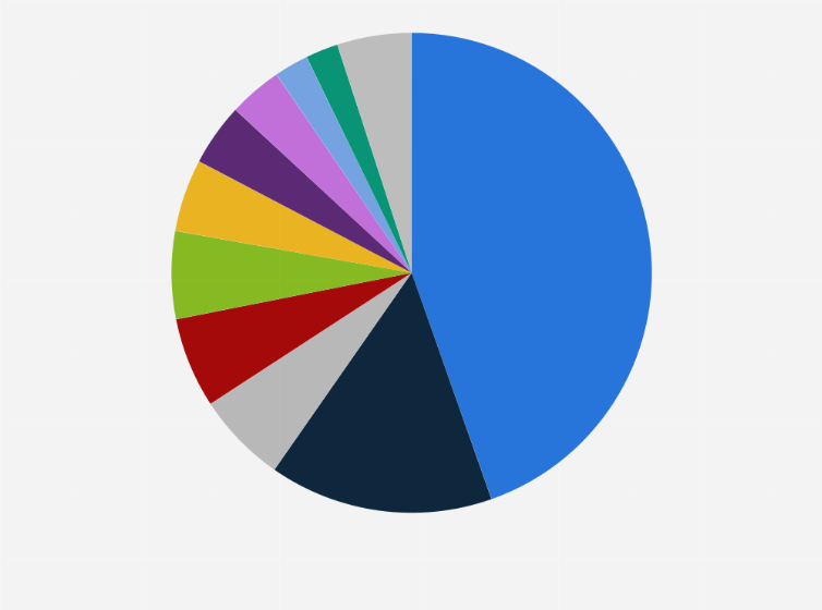 Statistic: Leading bus brands in Chile in 2021, by market share